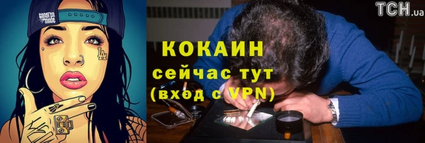 гашик Новокубанск