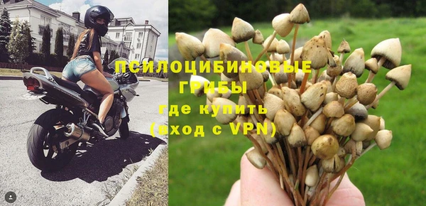 мяу мяу мука Новодвинск