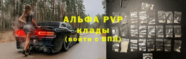 гашик Новокубанск