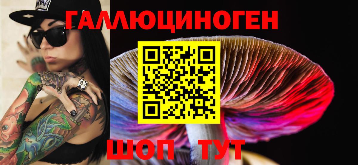 Псилоцибиновые грибы мицелий Заинск