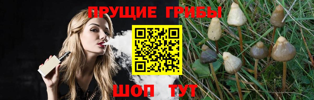 Галлюциногенные грибы ЛСД  Заинск 